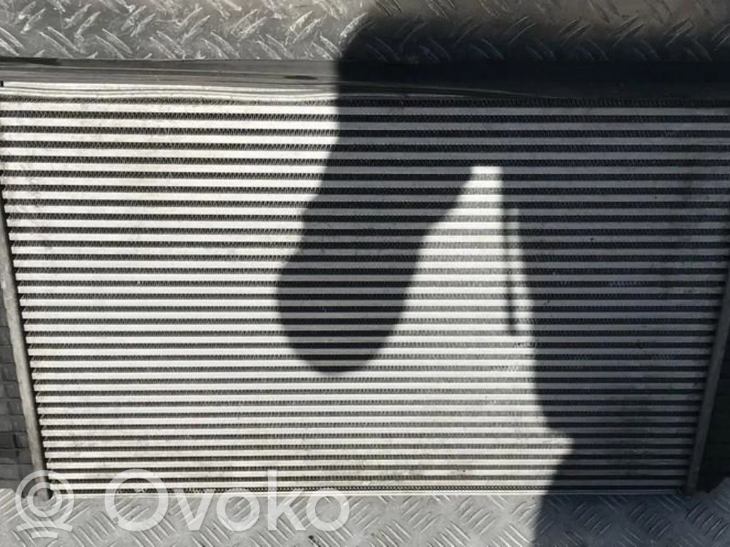 Volkswagen Golf V Radiatore intercooler 