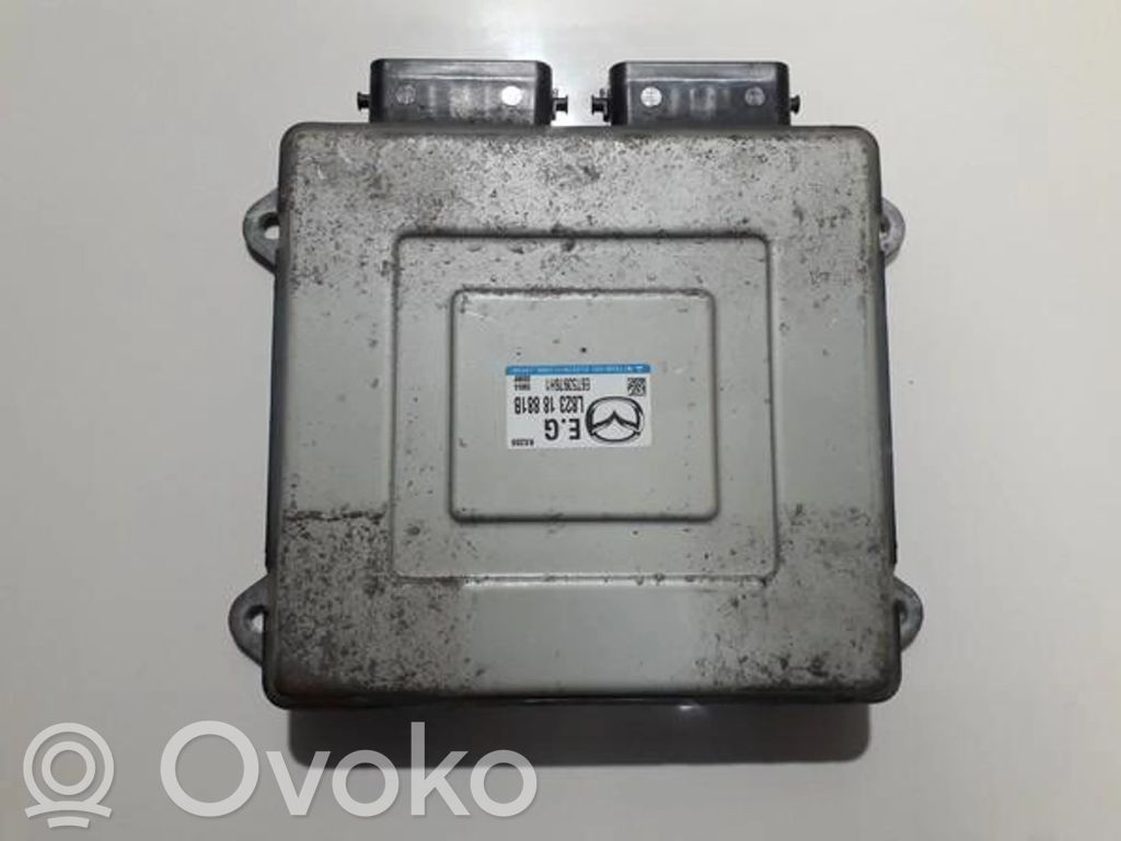 Sterownik / Moduł ECU   L82318881B,E6T53976H1,E6T53976H1,L82318881B