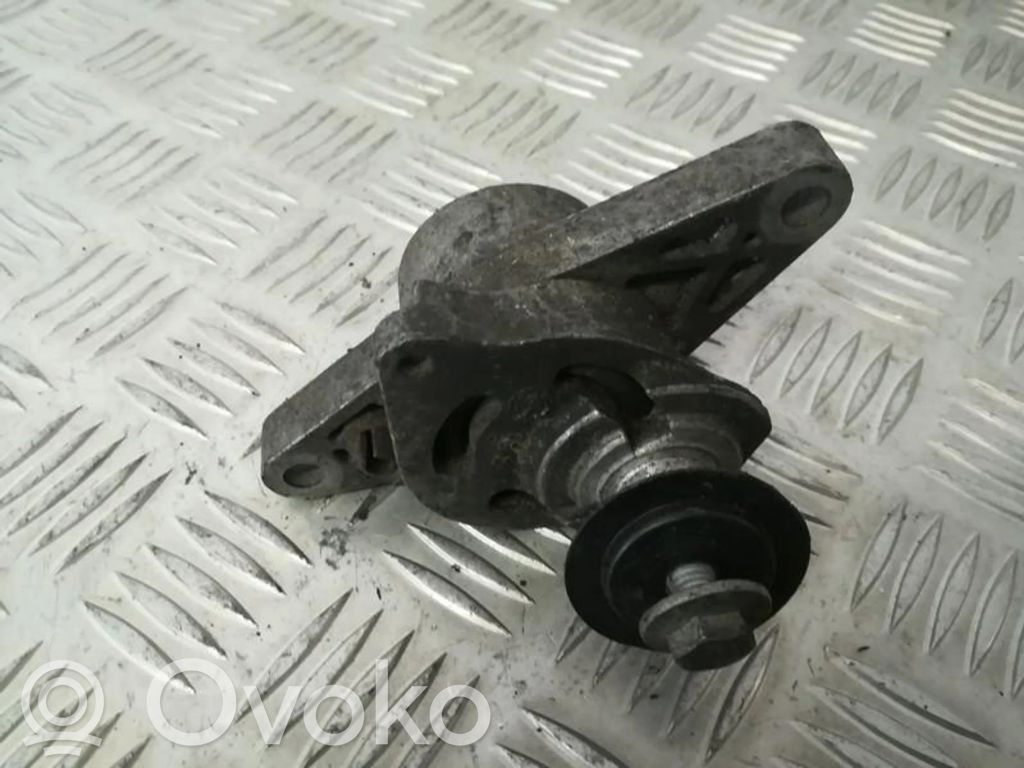 Peugeot 206 Lichtmaschine Riemenspanner Spannrolle Keilrippenriemen Keilriemen 
