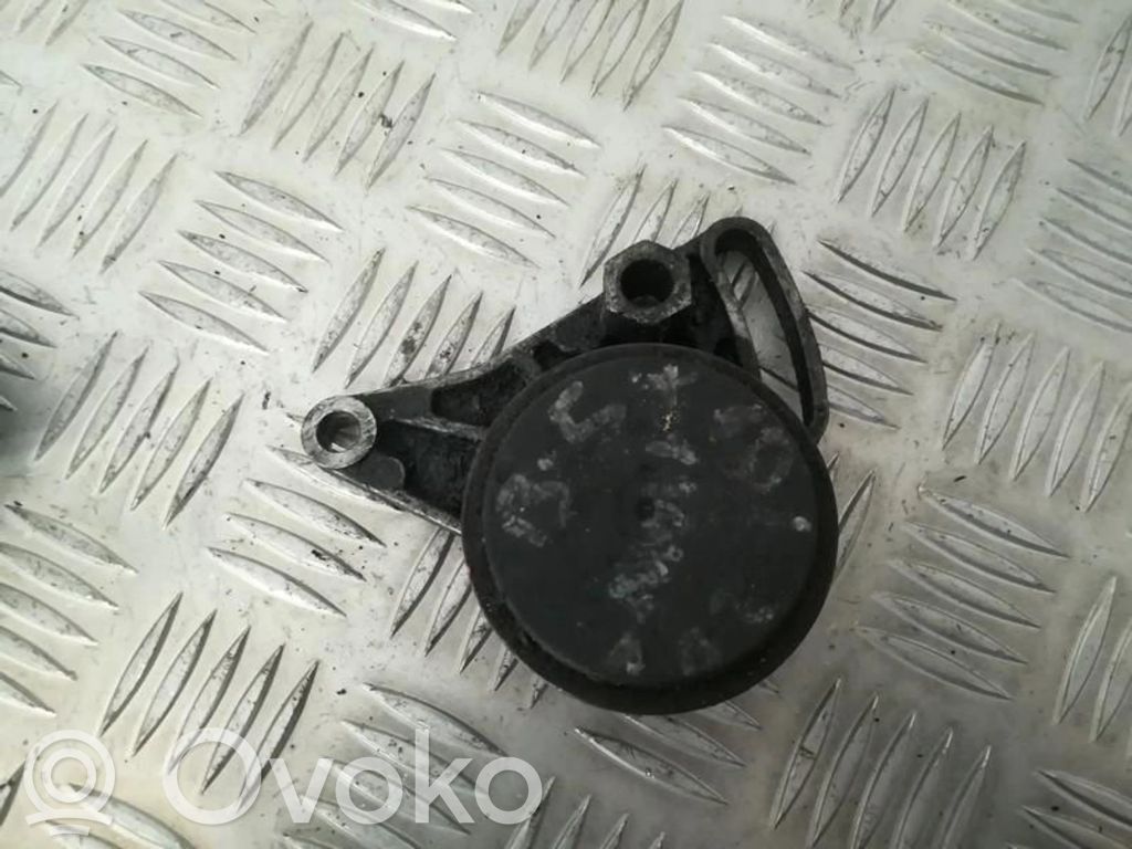 Audi A4 S4 B5 8D Tendicinghia generatore/alternatore 