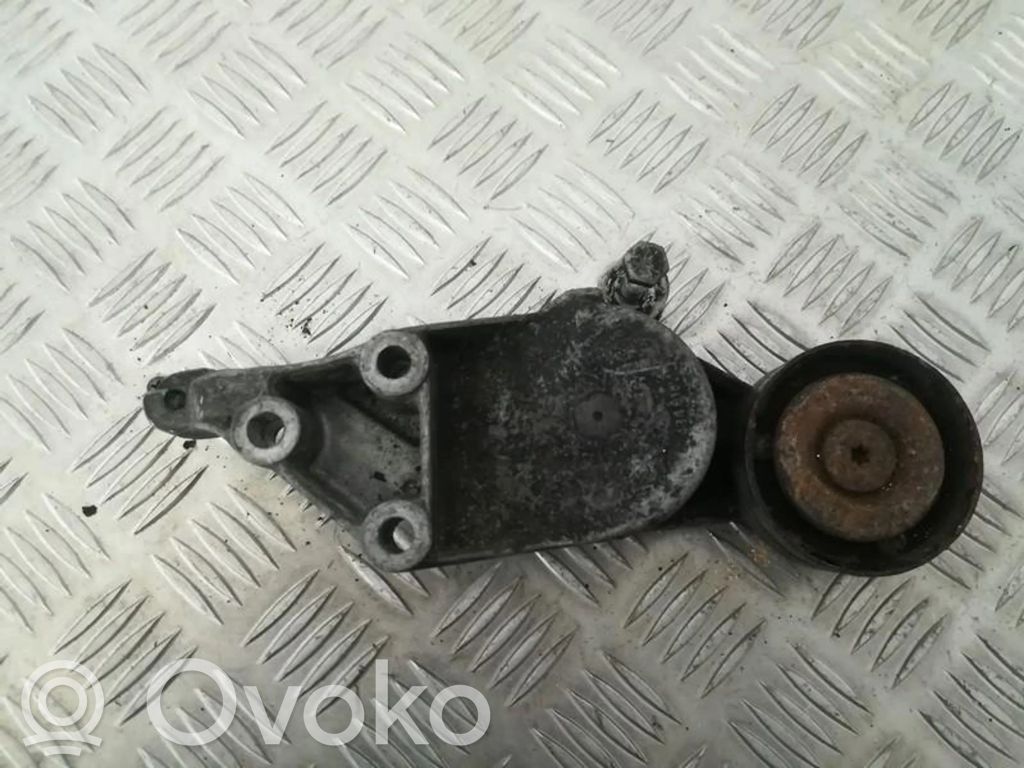 Audi A3 S3 8L Întinzător curea generator/alternator 