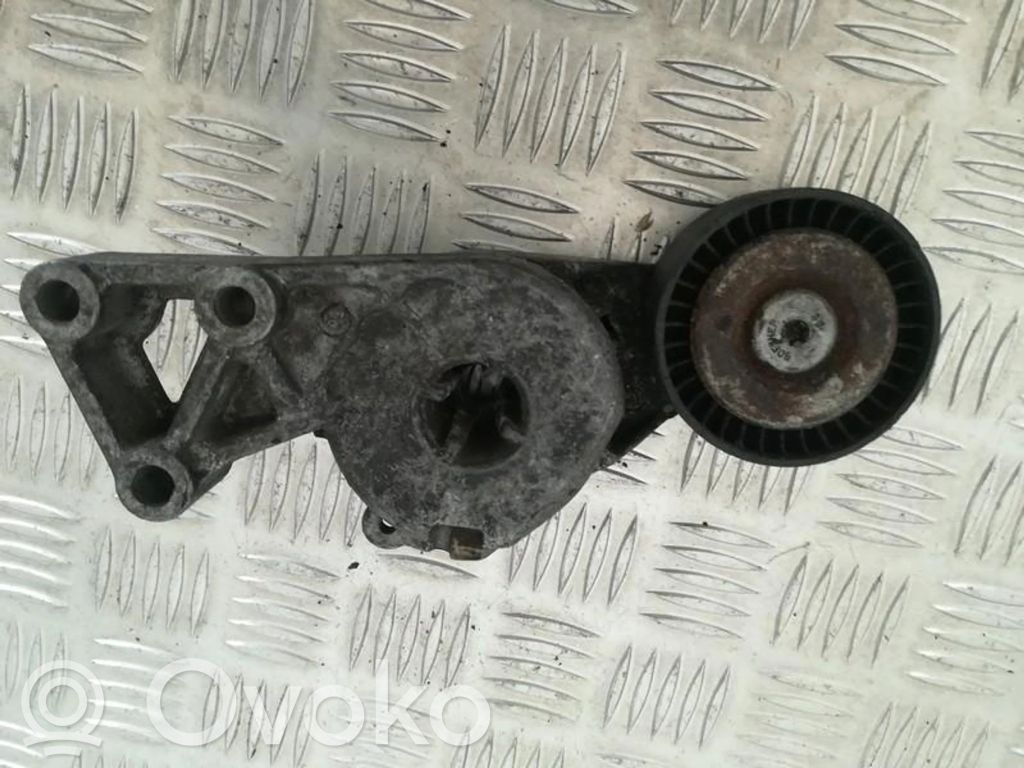 Volkswagen Bora Întinzător curea generator/alternator 