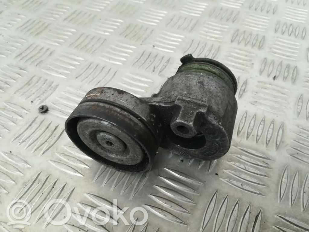 Renault Megane II Întinzător curea generator/alternator 