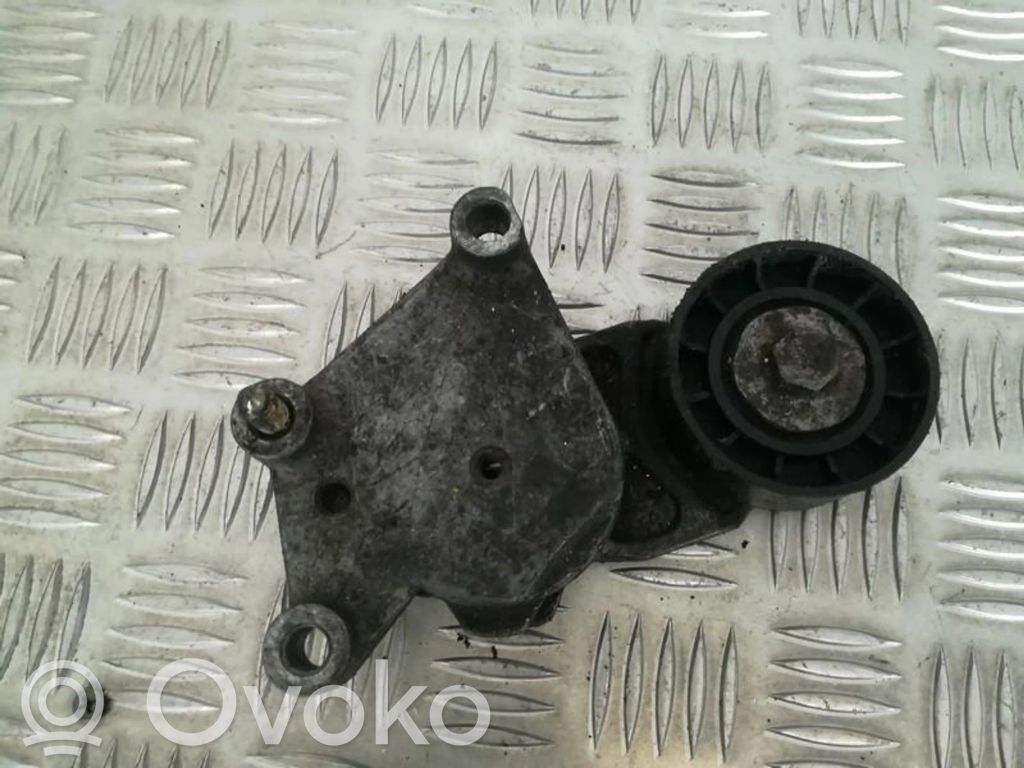 Tensor de correa del alternador   TF049,TF049