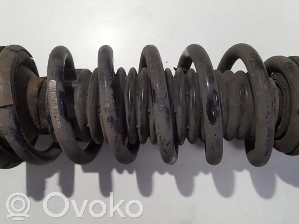 Rear coil spring