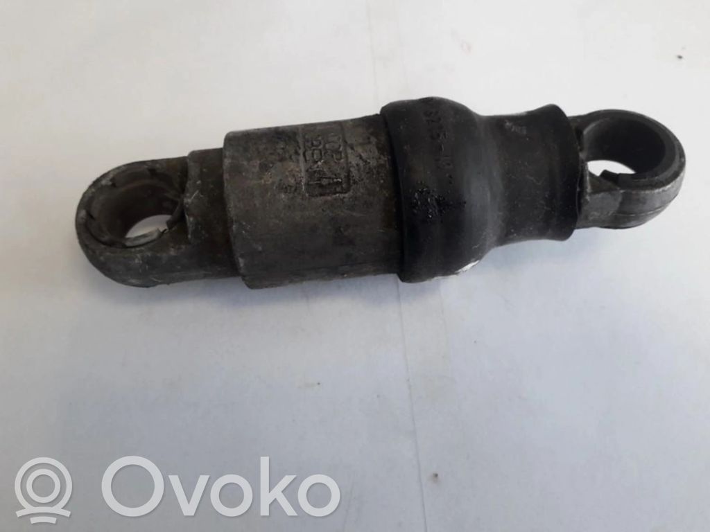 BMW 5 E39 Tendicinghia generatore/alternatore 