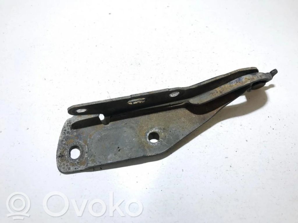 Bisagras del capó/tapa del motor