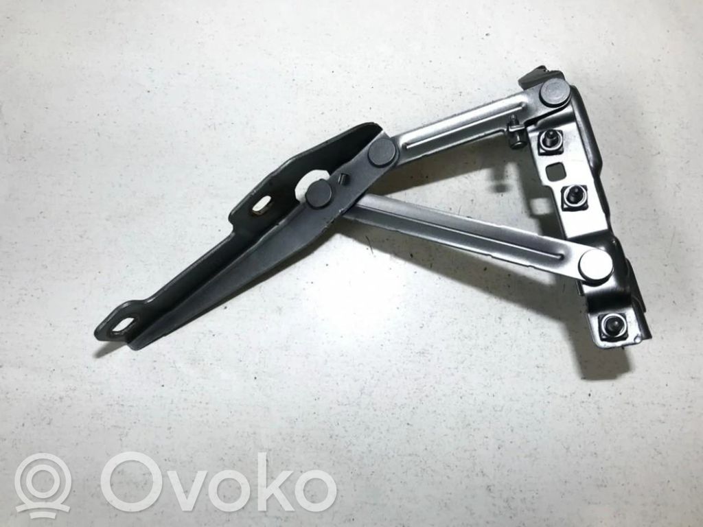 Cerniere del vano motore/cofano   13248766,13248766