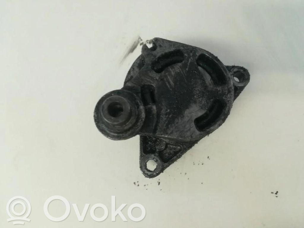 Renault Trafic II (X83) Tendicinghia generatore/alternatore 