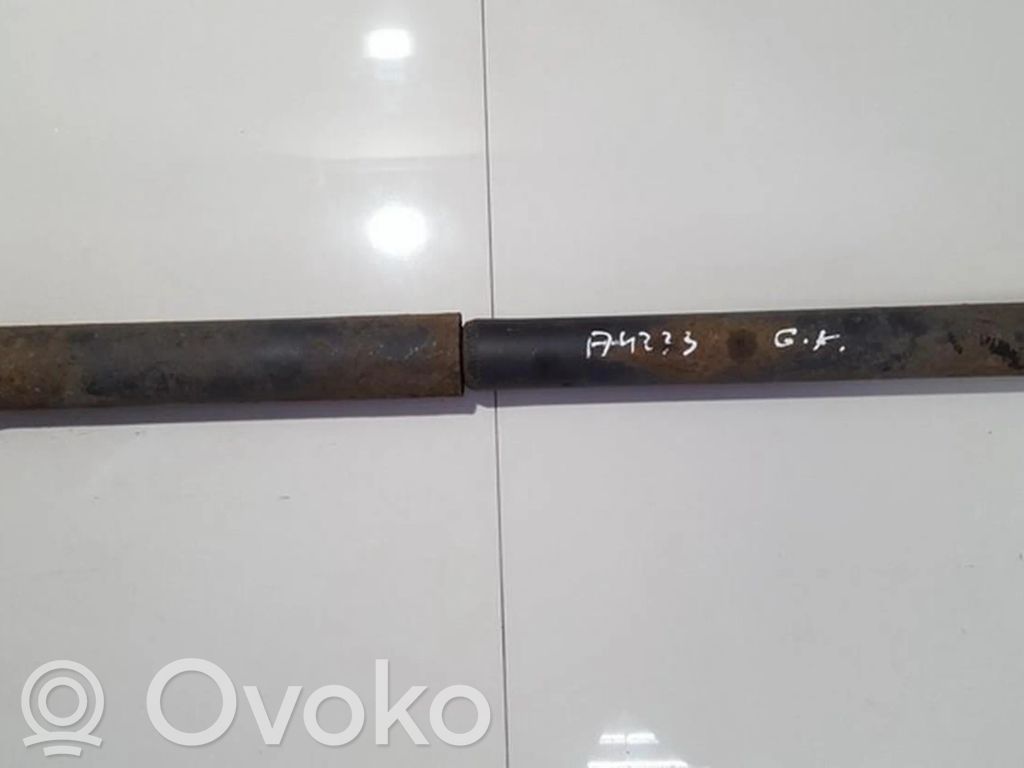 Toyota RAV 4 (XA20) Amortizor spate 