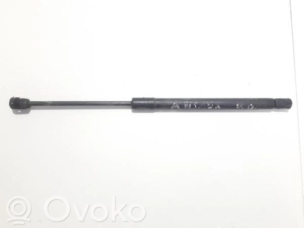 Opel Antara Amortizor capotă motor
