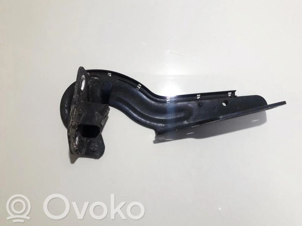Renault Scenic I Balamale capotă 