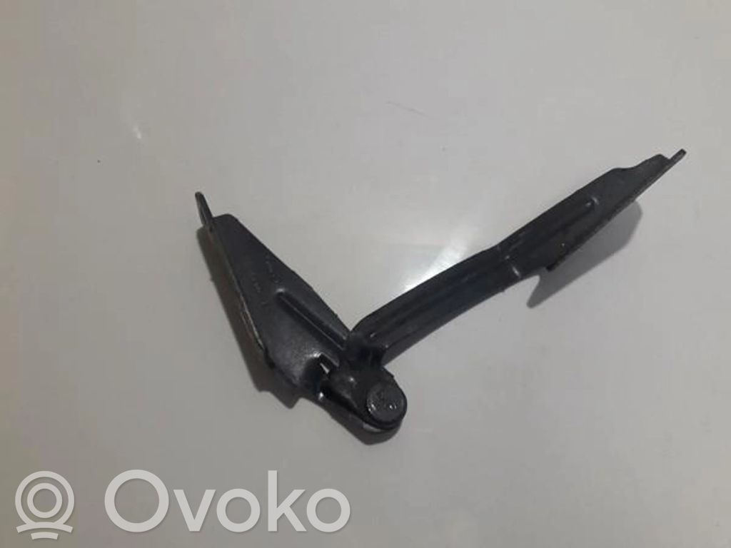 Balamale capotă   XS4116800AE,XS4116800AE,XS4116800AE,XS4116800AE