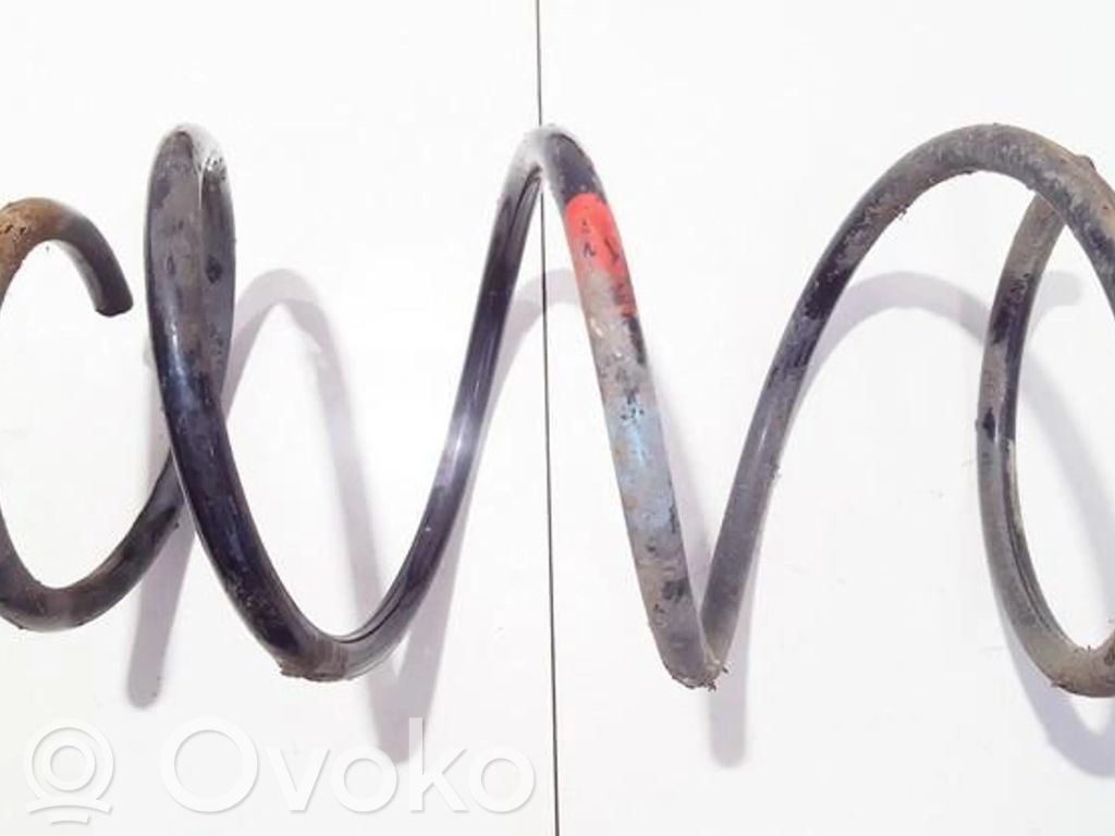 Front coil spring