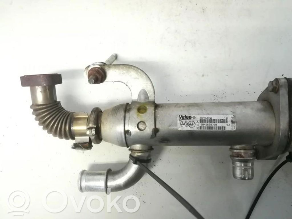 Răcitor supapă EGR   9645689780,9645689780
