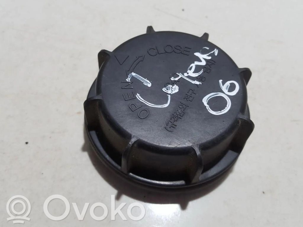 Cache-poussière de phare avant