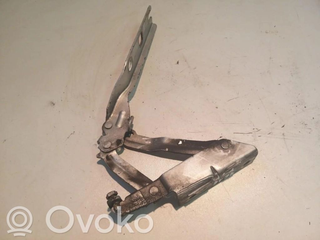 Volkswagen Golf V Balamale capotă 