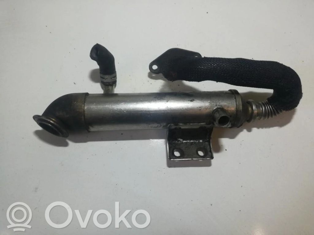 Ford Focus Refroidisseur de vanne EGR 
