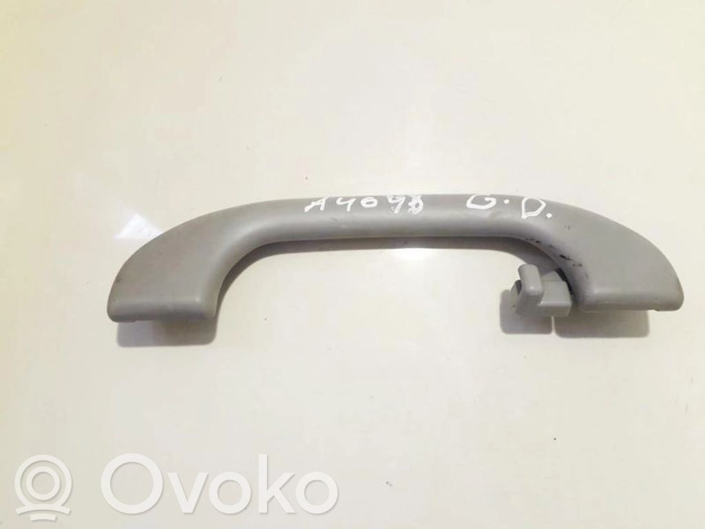 Haltegriff hinten