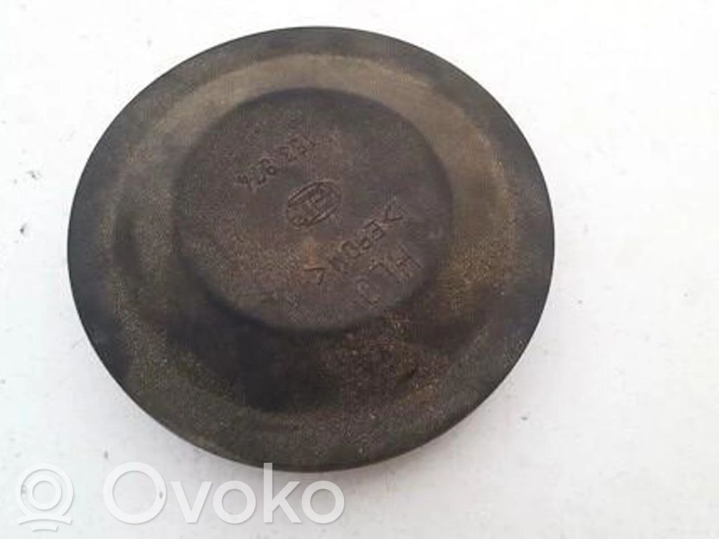 Renault Scenic II - Grand scenic II Parapolvere per faro/fanale