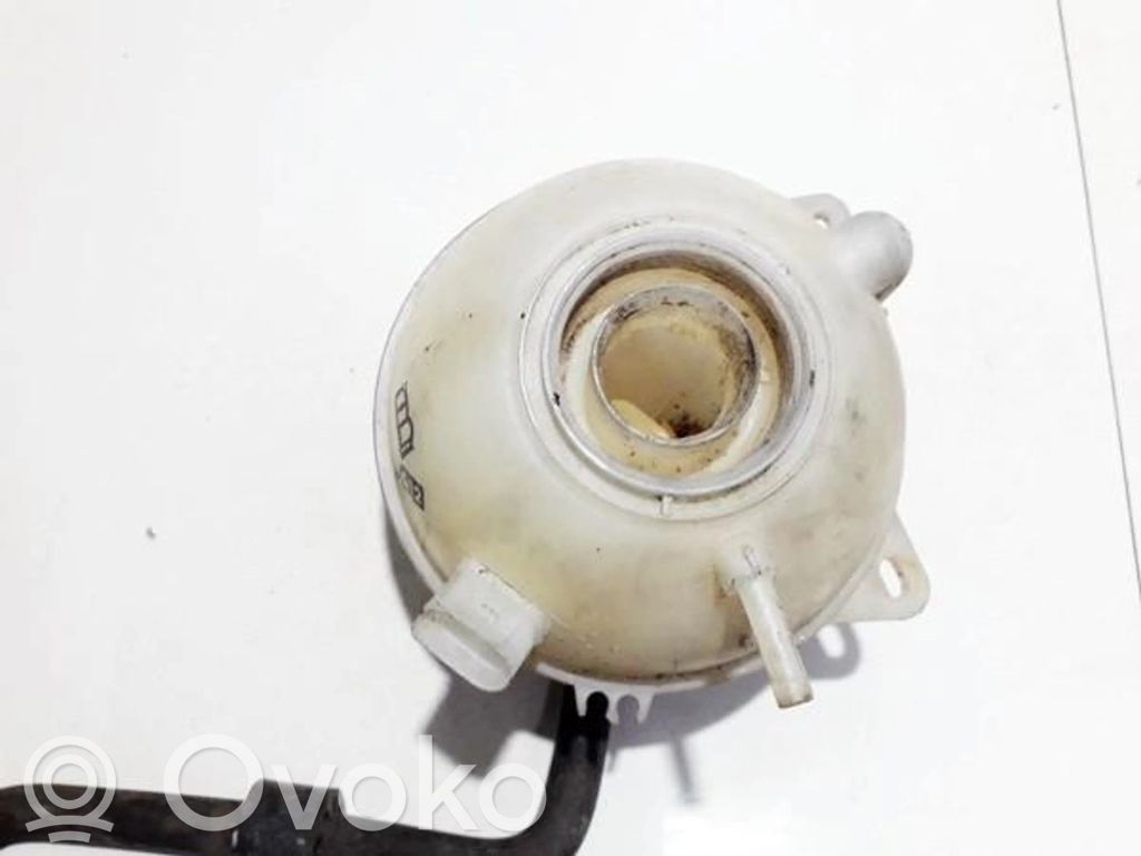 Volkswagen Golf IV Vas expansiune/rezervor lichid de răcire 