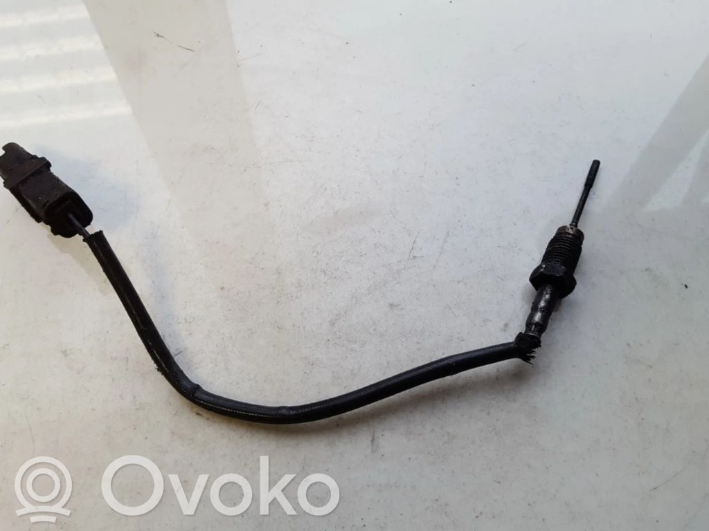 Citroen C4 I Abgastemperatursensor