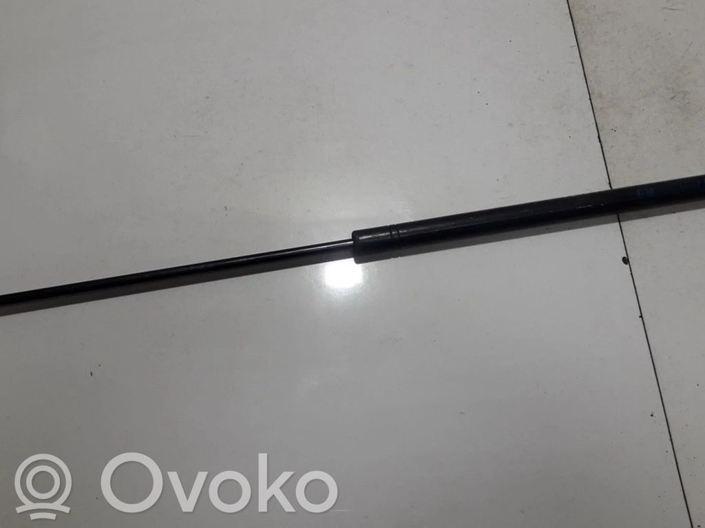 Opel Vectra C Ammortizzatore portellone anteriore/cofano 
