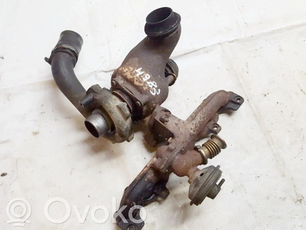 Turbina