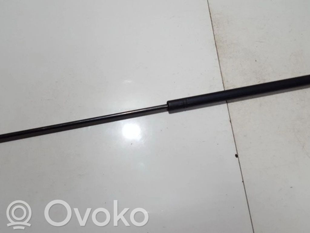 Opel Signum Ammortizzatore portellone anteriore/cofano 