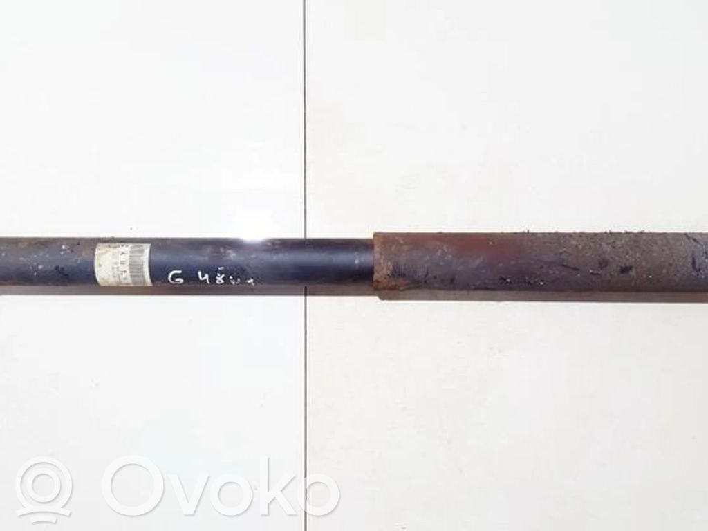 Toyota RAV 4 (XA20) Amortizor spate 