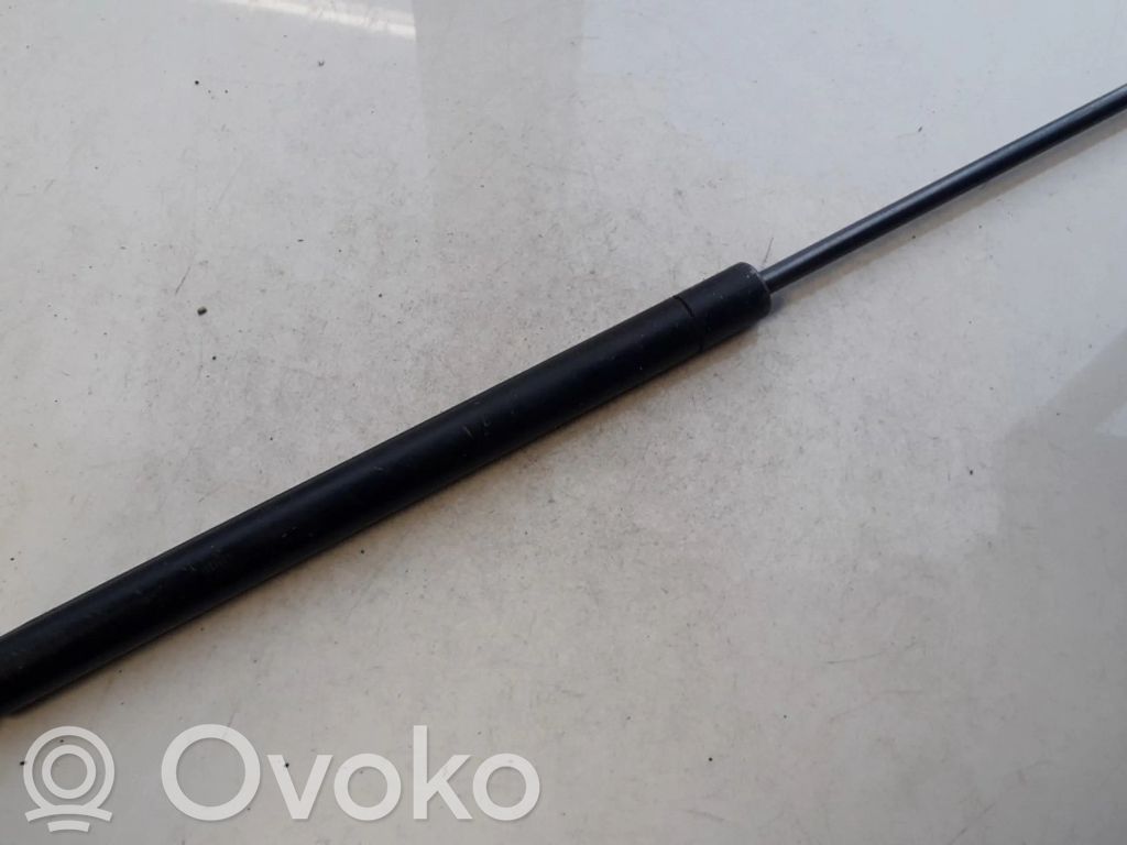 Audi A3 S3 8L Ammortizzatore portellone posteriore/bagagliaio 