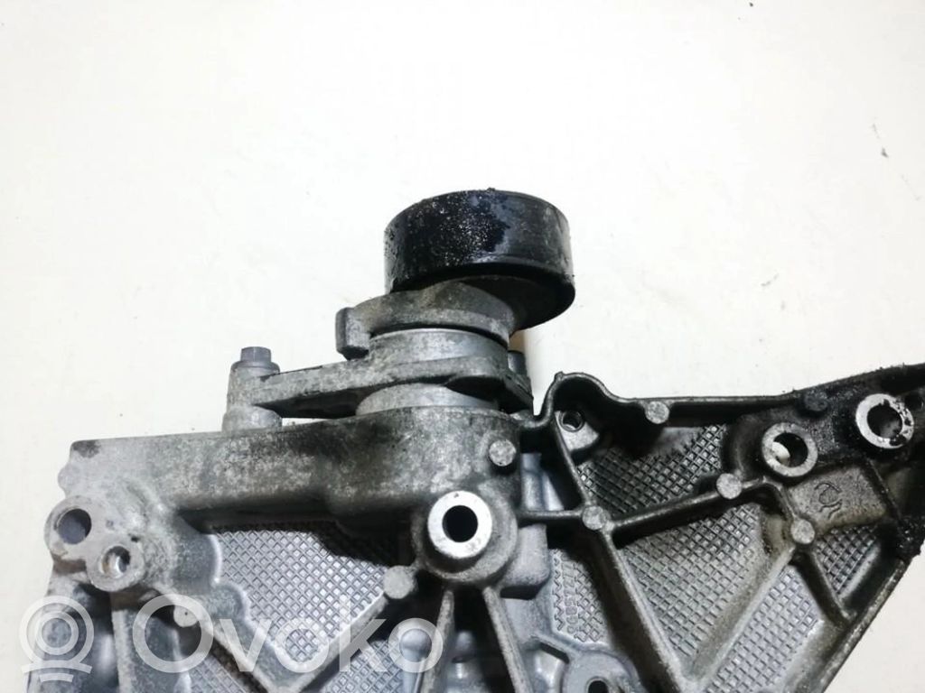 Citroen C3 Întinzător curea generator/alternator 