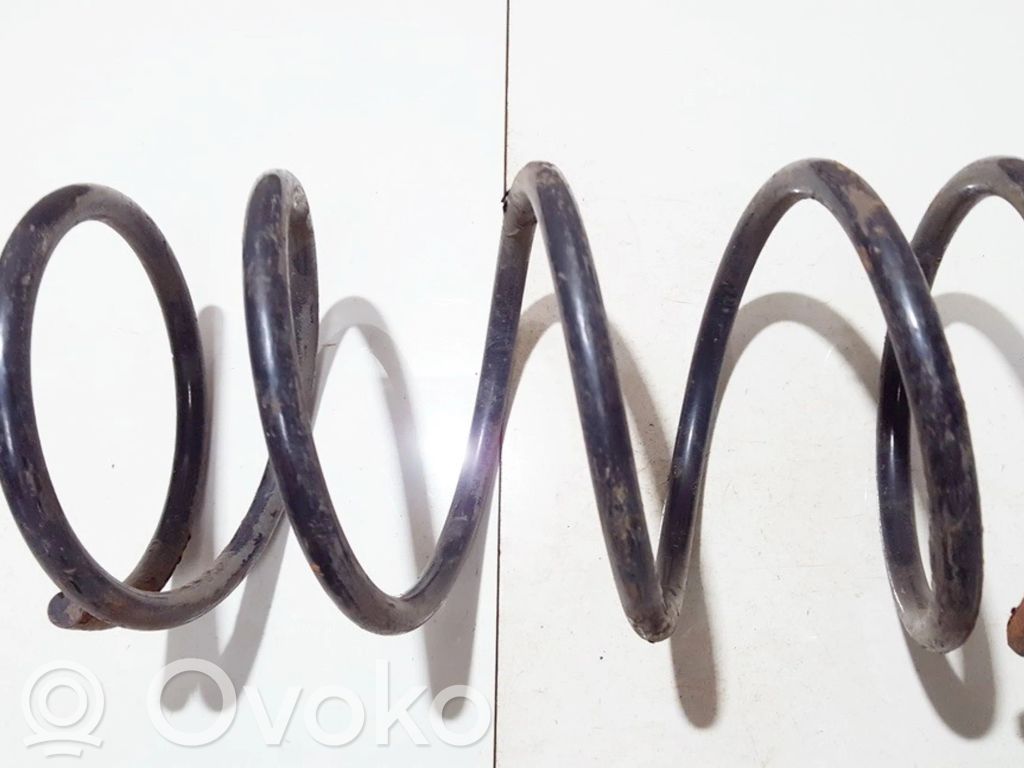 Front coil spring