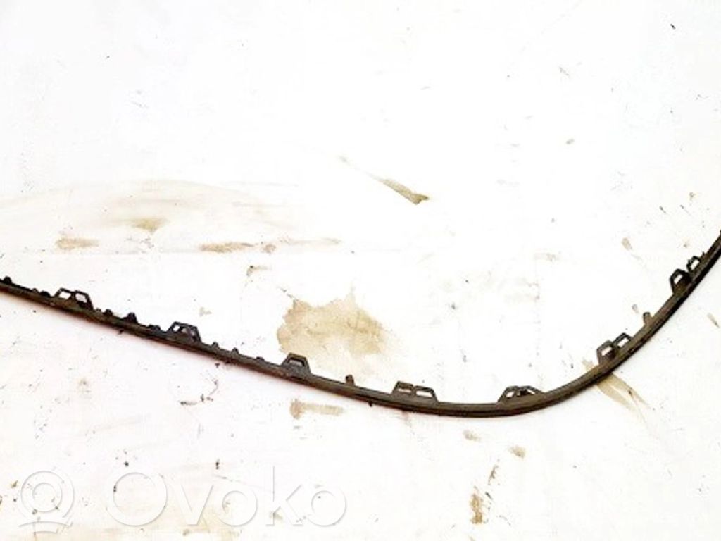 Volkswagen PASSAT B6 Ornament bară spate
