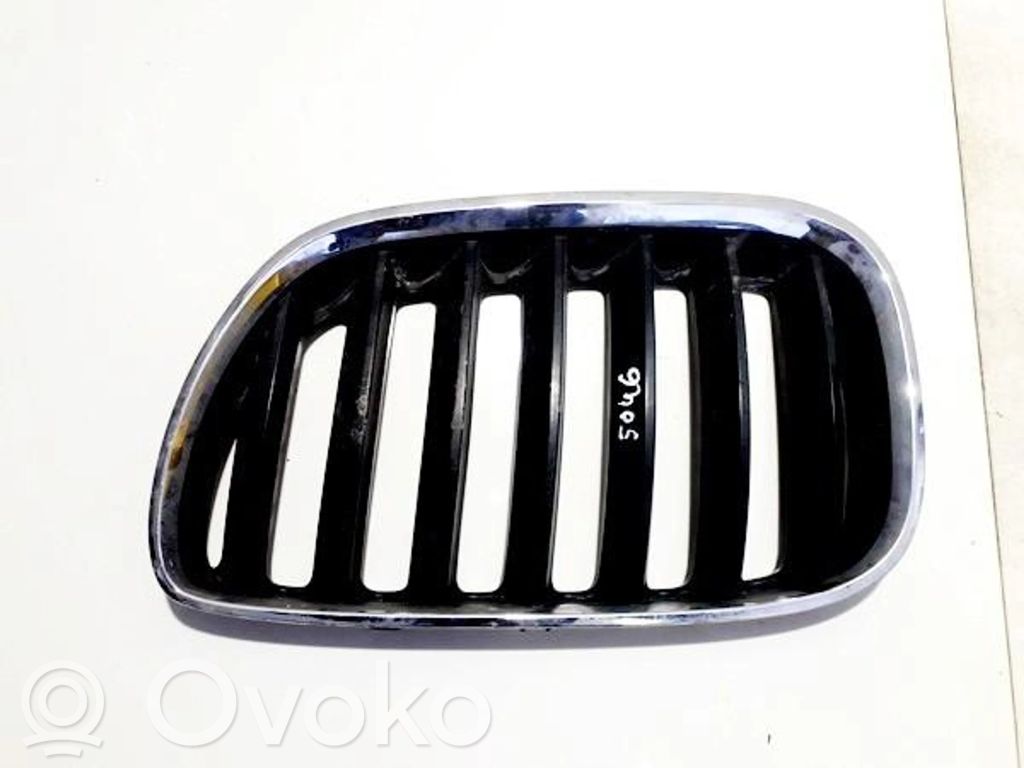 BMW X5 E53 Front grill 