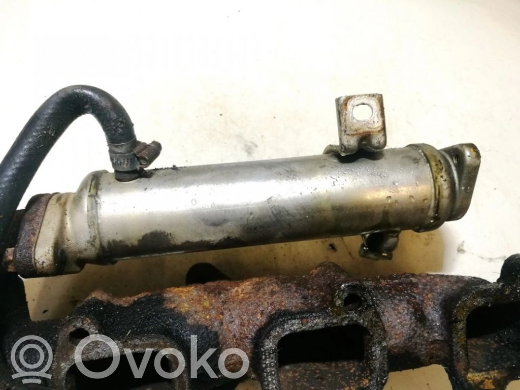 Isuzu Trooper Refroidisseur de vanne EGR