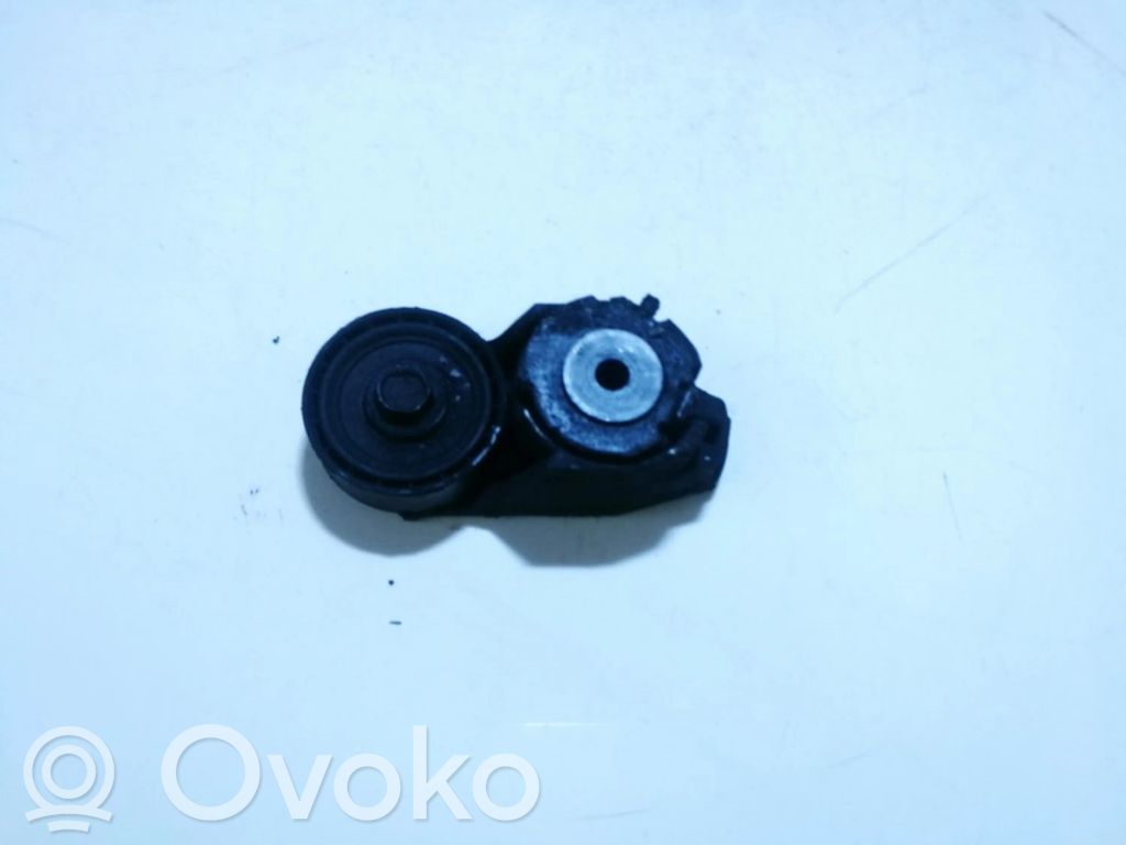 Jaguar X-Type Întinzător curea generator/alternator 