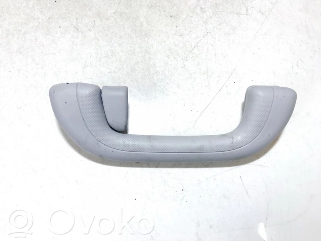 Asidero interior trasero