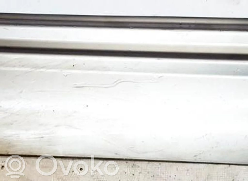 Jeep Grand Cherokee (WJ) Rivestimento della portiera anteriore (modanatura)