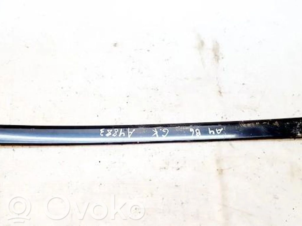 Mască ușă spate (turnată)   8E0853963,8E0853963