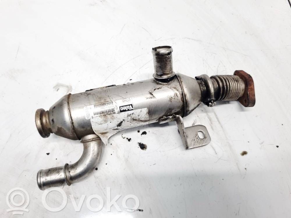 Citroen Xsara Răcitor supapă EGR 