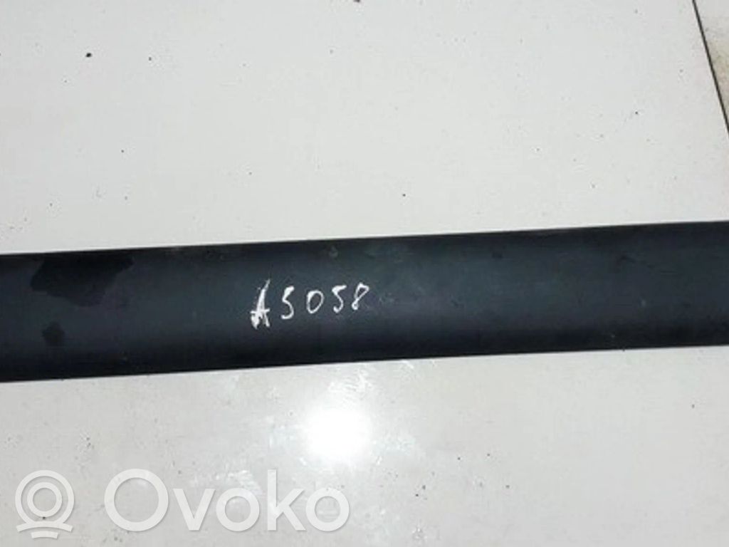 Renault Kangoo I Ornament bară spate 