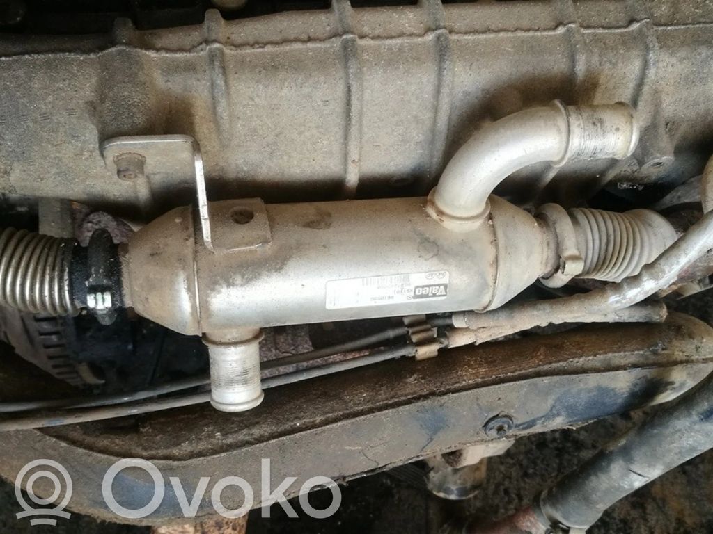 Citroen C5 Răcitor supapă EGR 