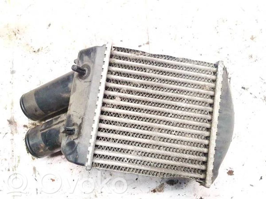 Renault Scenic I Ladeluftkühler 