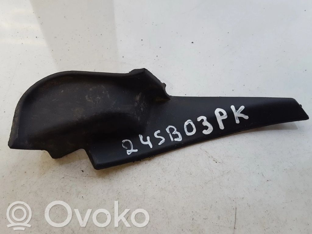 Altra parte esteriore   91423AG010,91423AG010