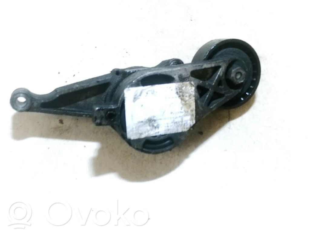 Skoda Octavia Mk2 (1Z) Tendicinghia generatore/alternatore