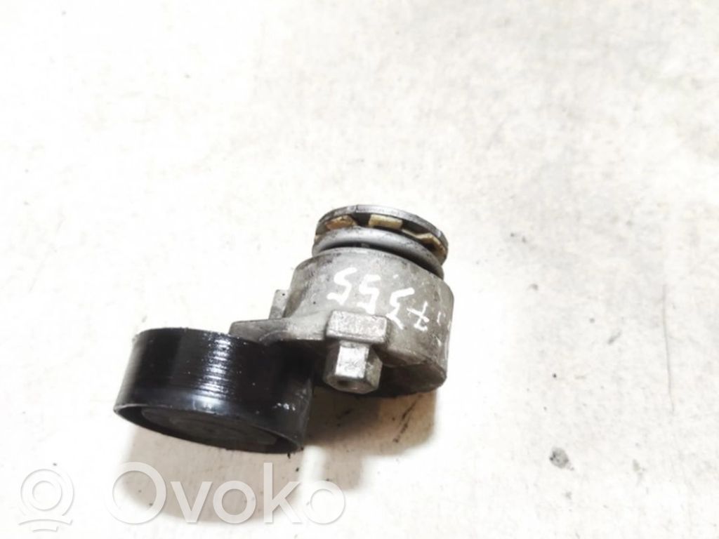 Nissan Note (E11) Întinzător curea generator/alternator 