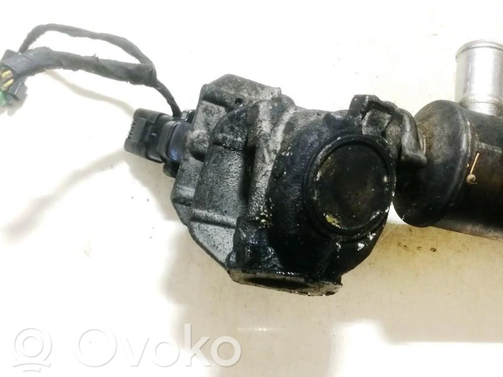 Peugeot 407 Valvola EGR
