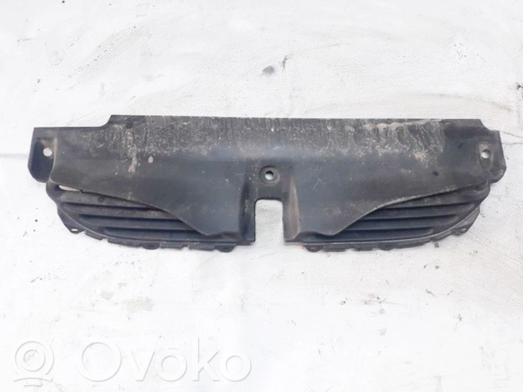 Renault Laguna I Etusäleikkö 