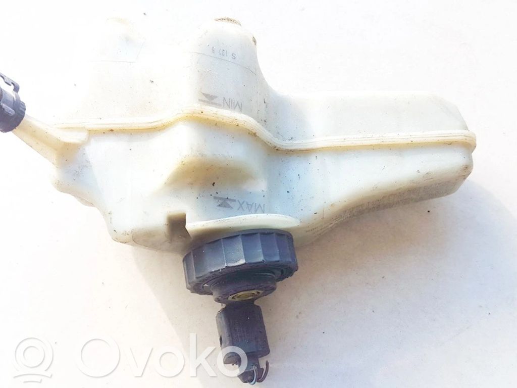 Volkswagen PASSAT B7 Rezervor lichid frână 